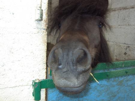 popol t'es trop chou!